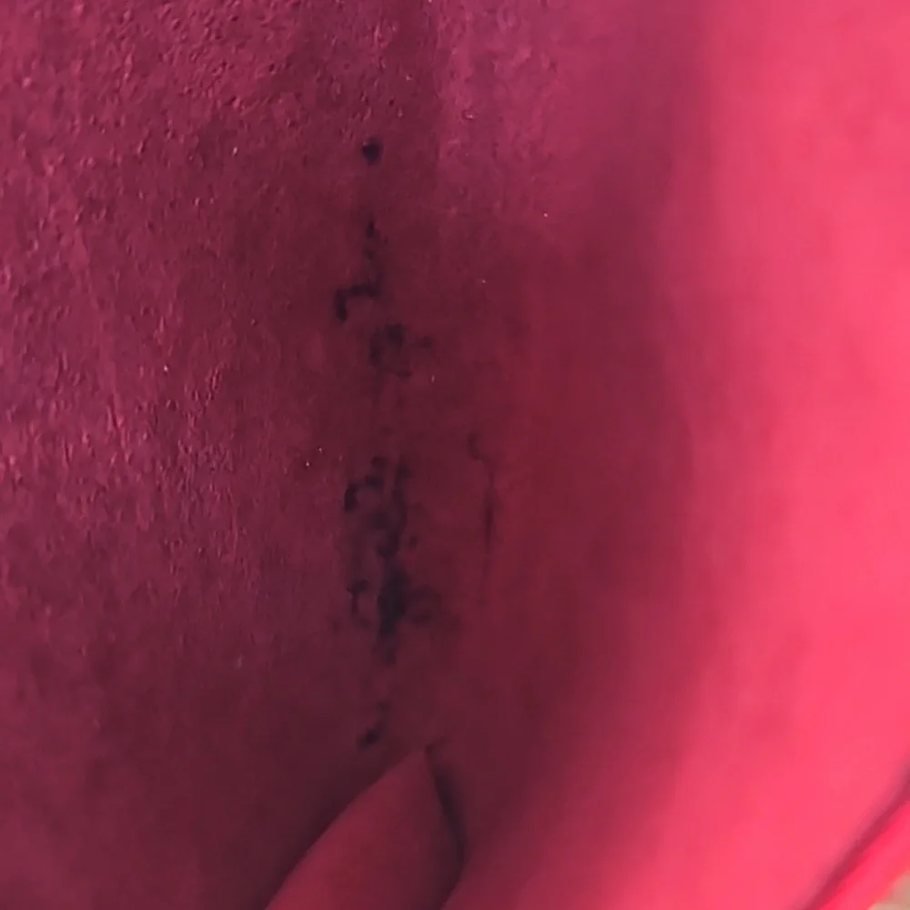 Louis Vuitton Epi Pouch - Picture 9 of 16